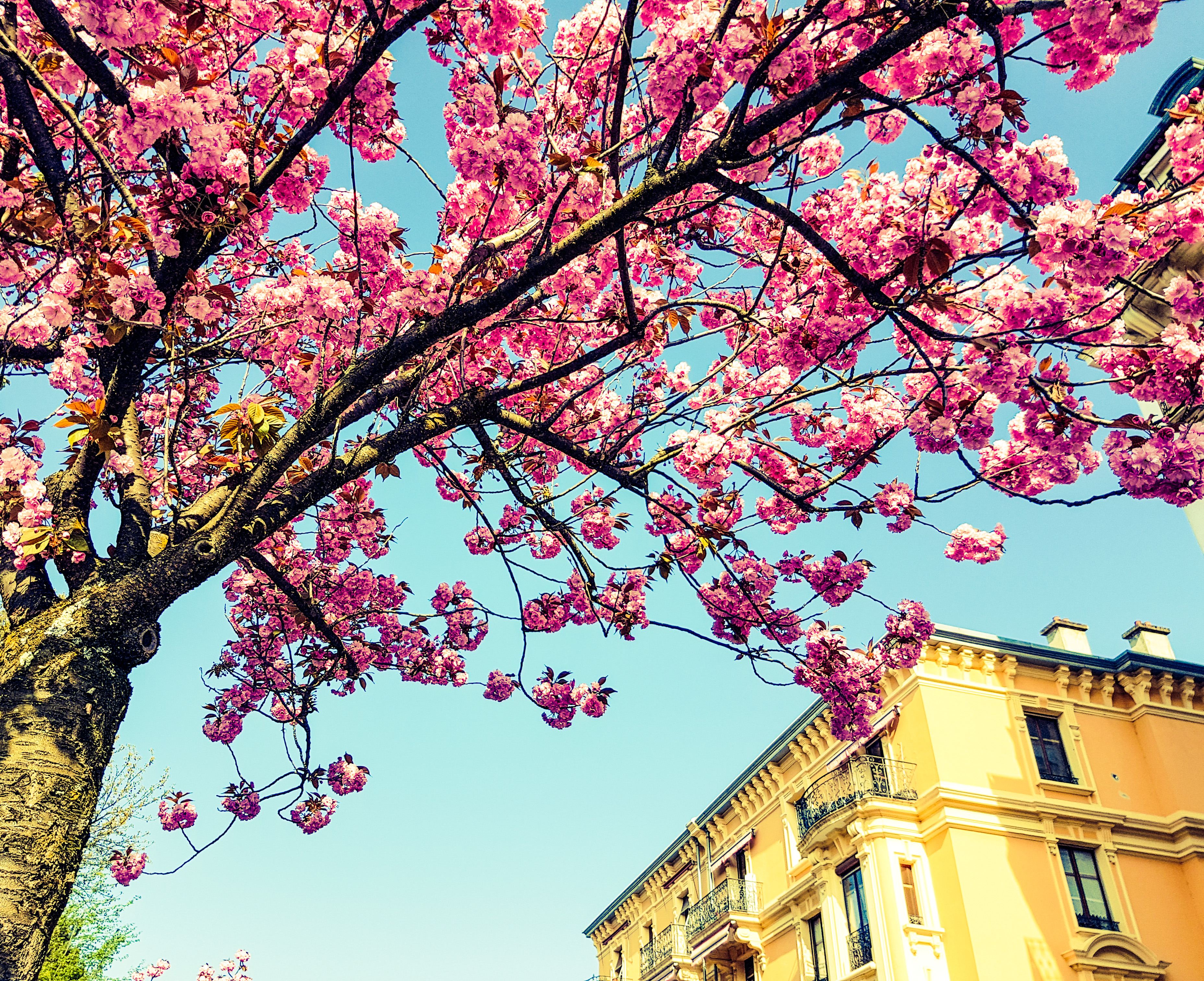 20170405_105045_edited