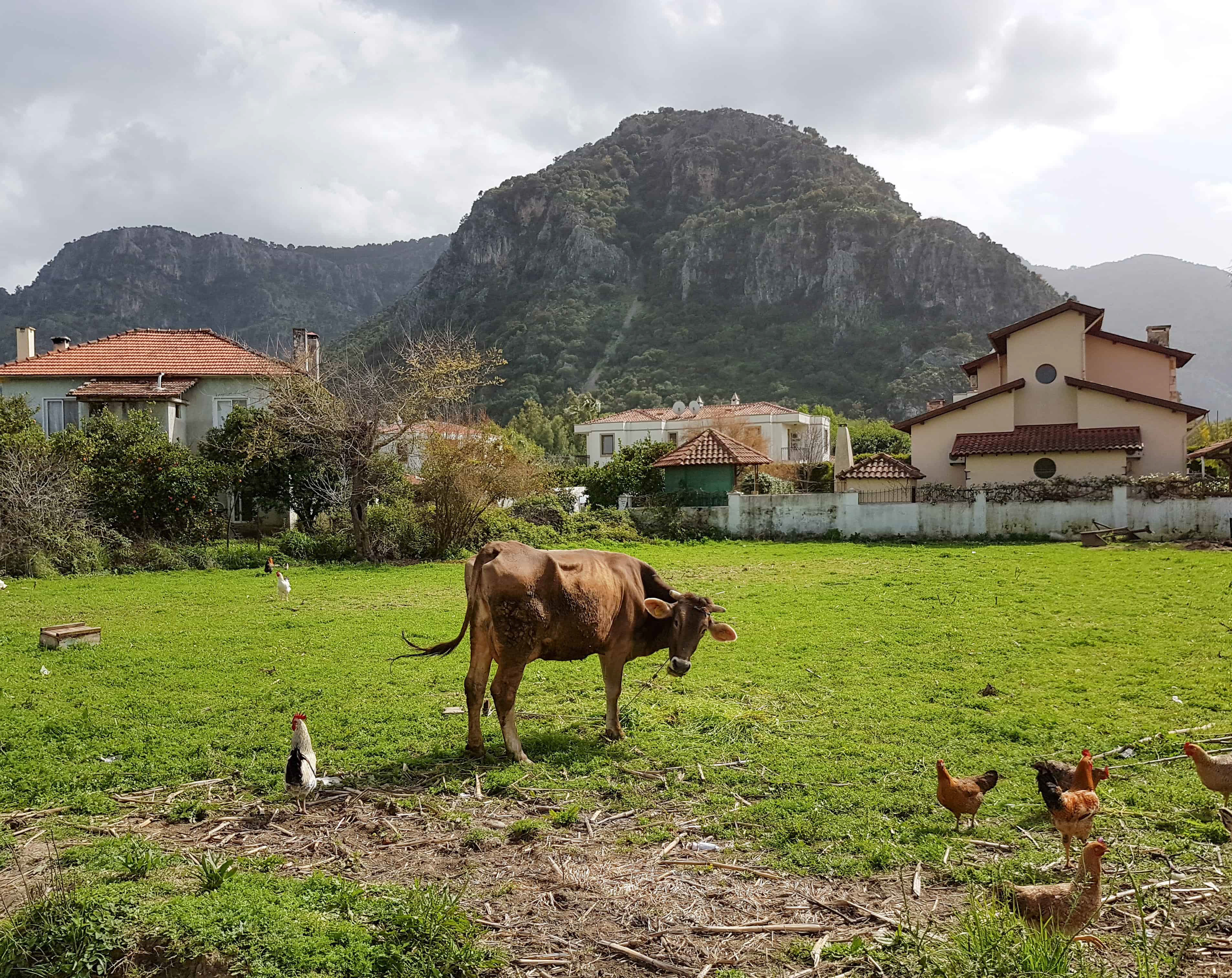 20180308_143316_edited_edited