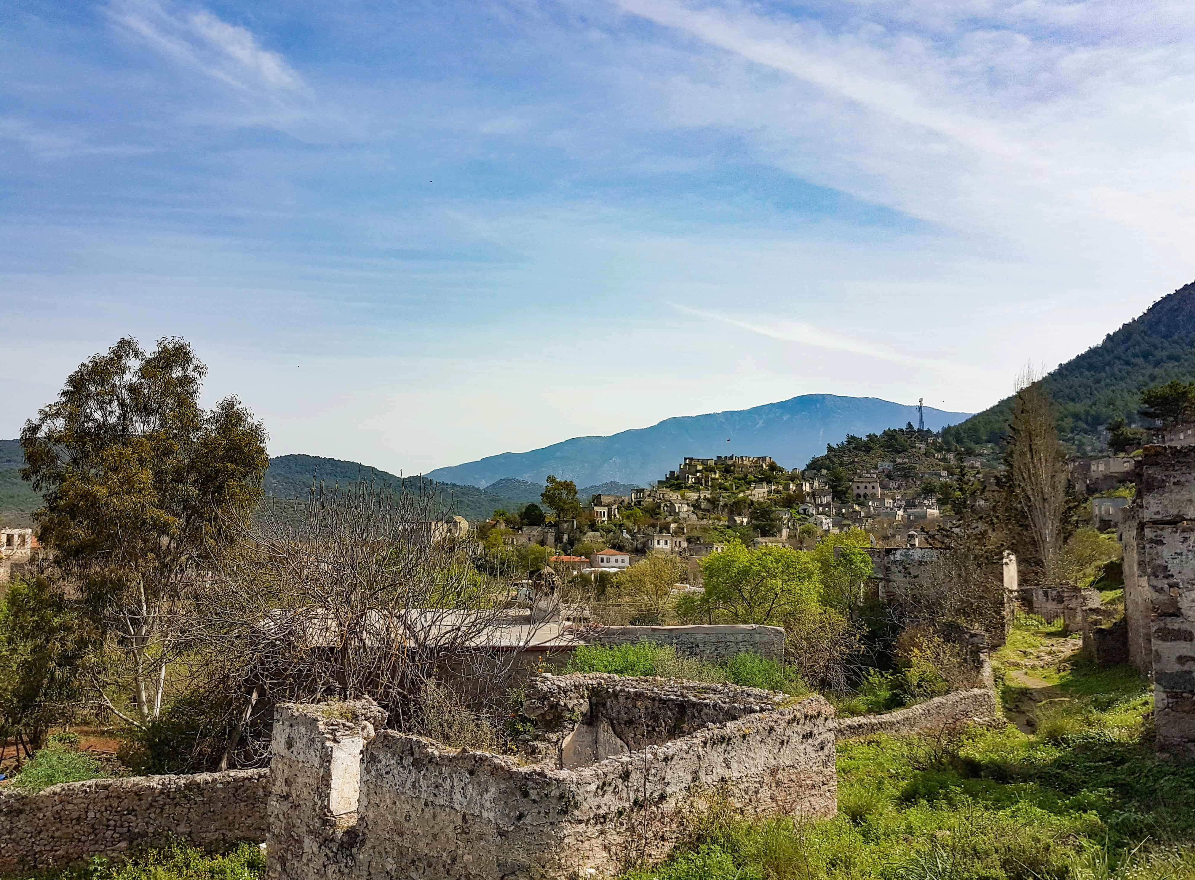 20180319_114205_edited_edited