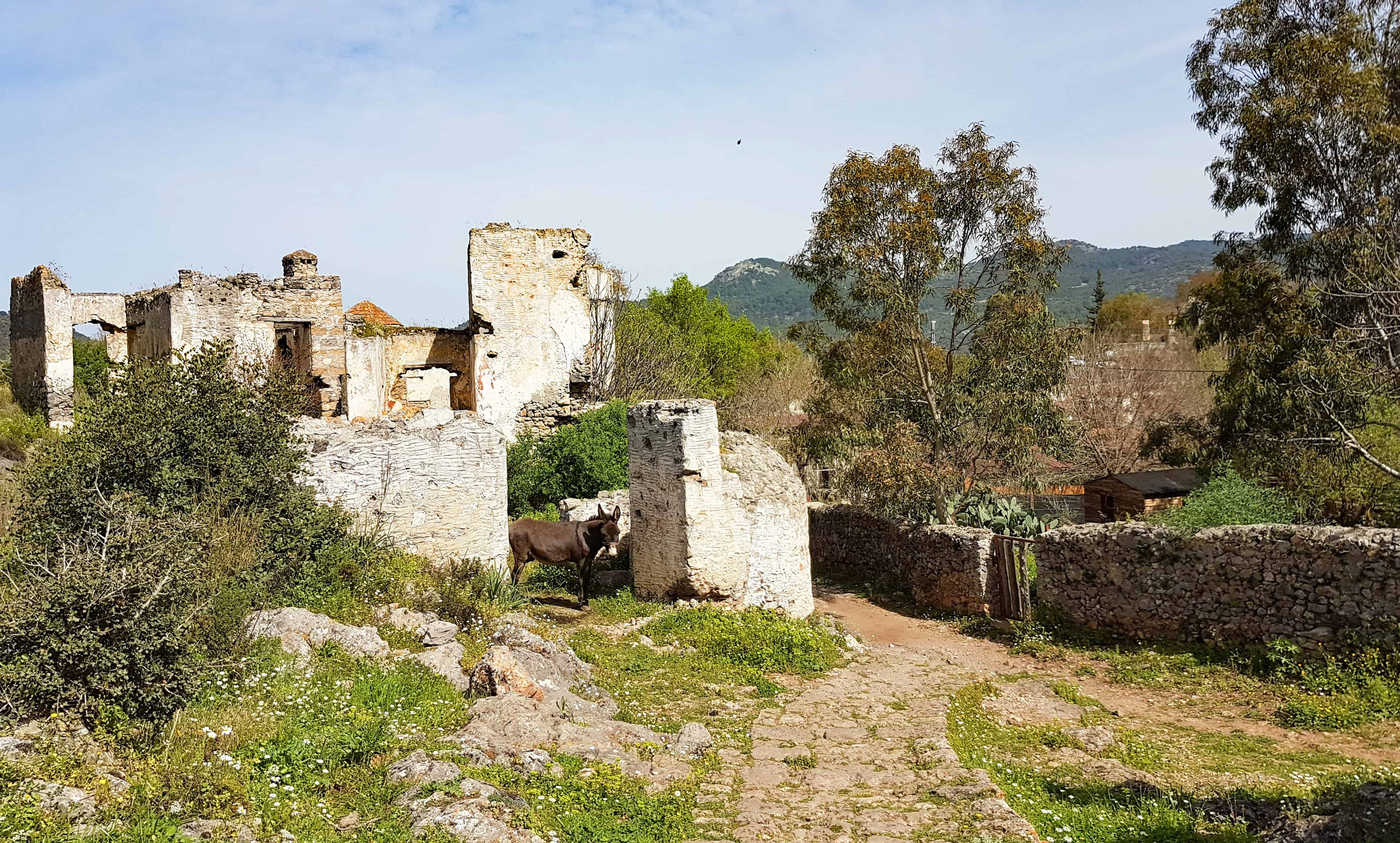 20180319_114709_edited_edited