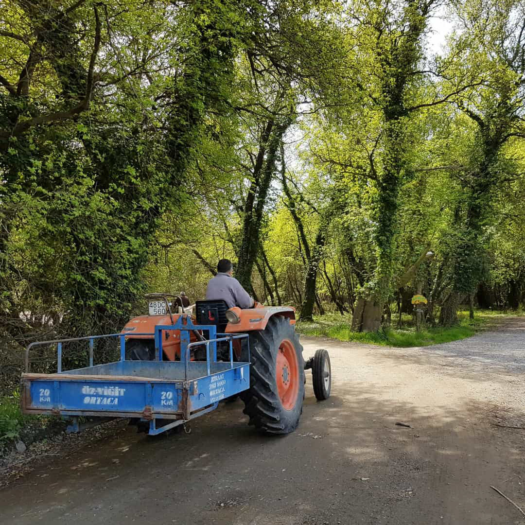 Untitled design (3)_edited_edited