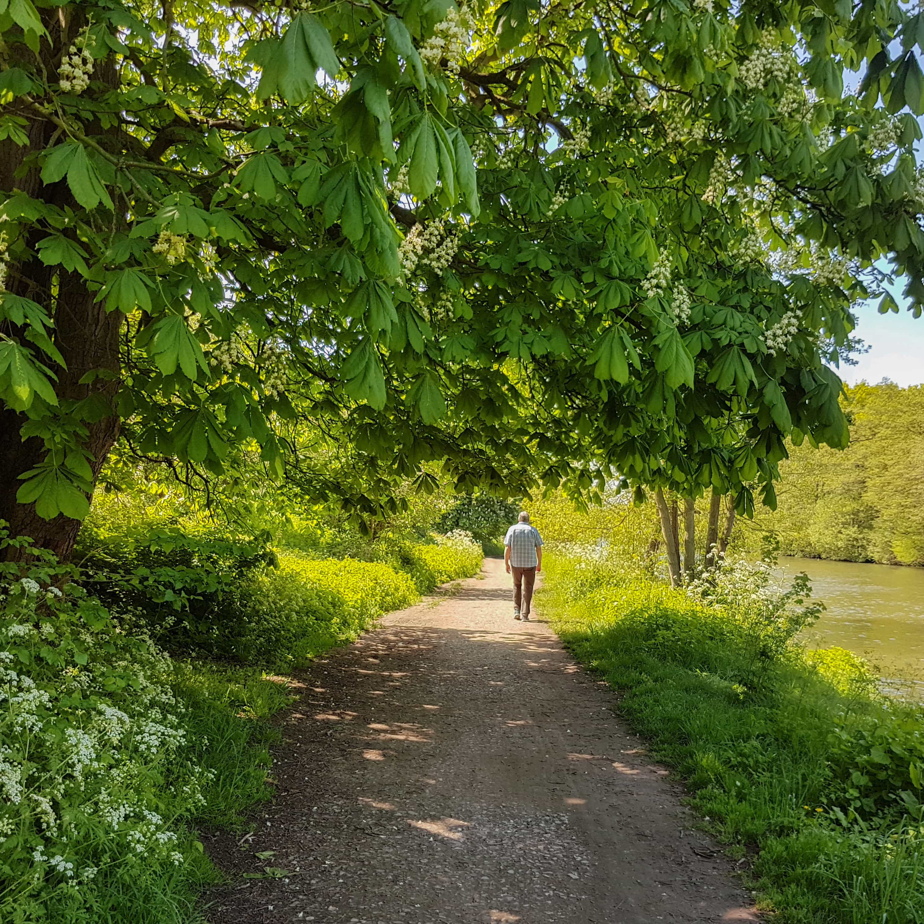 20180505_133931_edited_1_edited