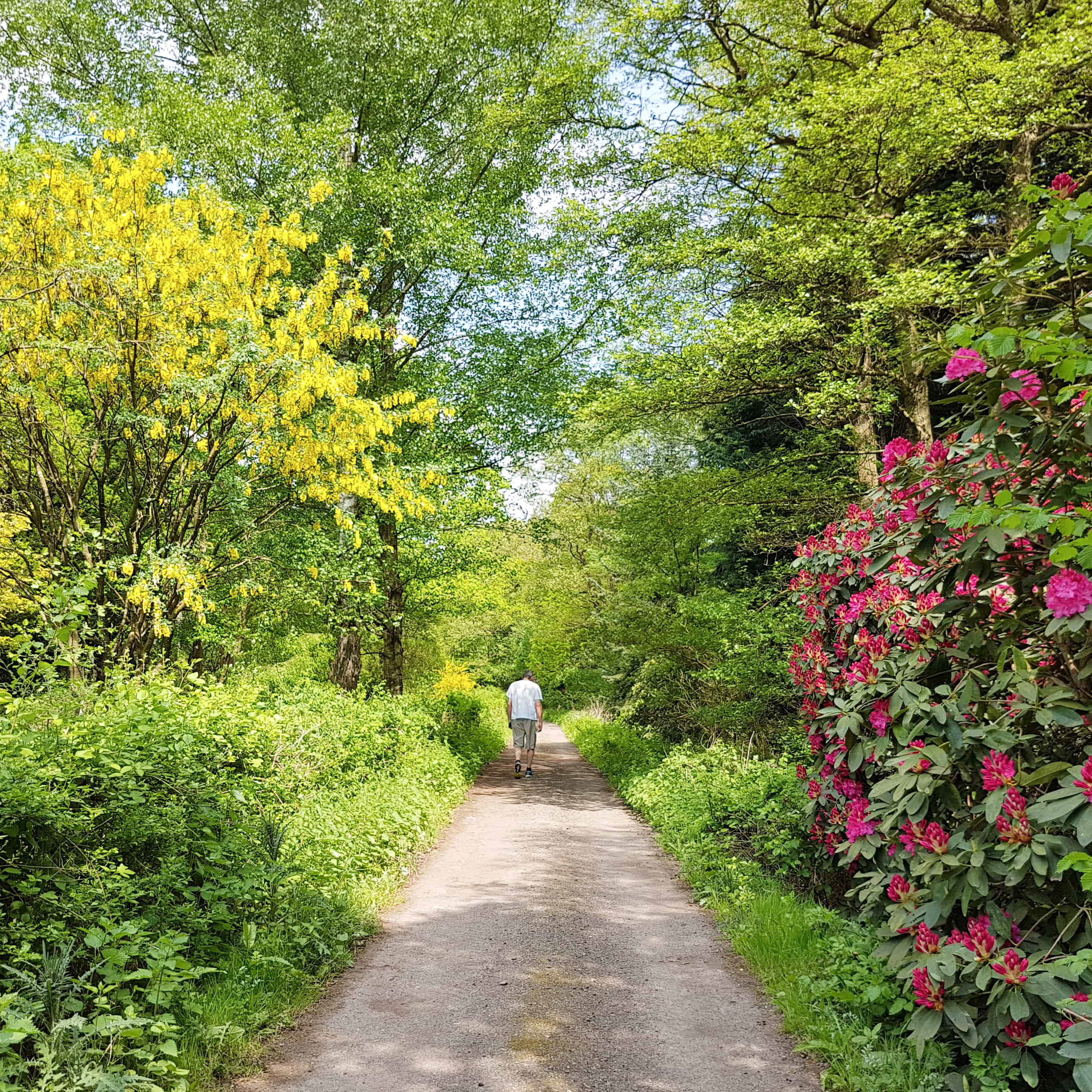 20180508_133145_edited_edited