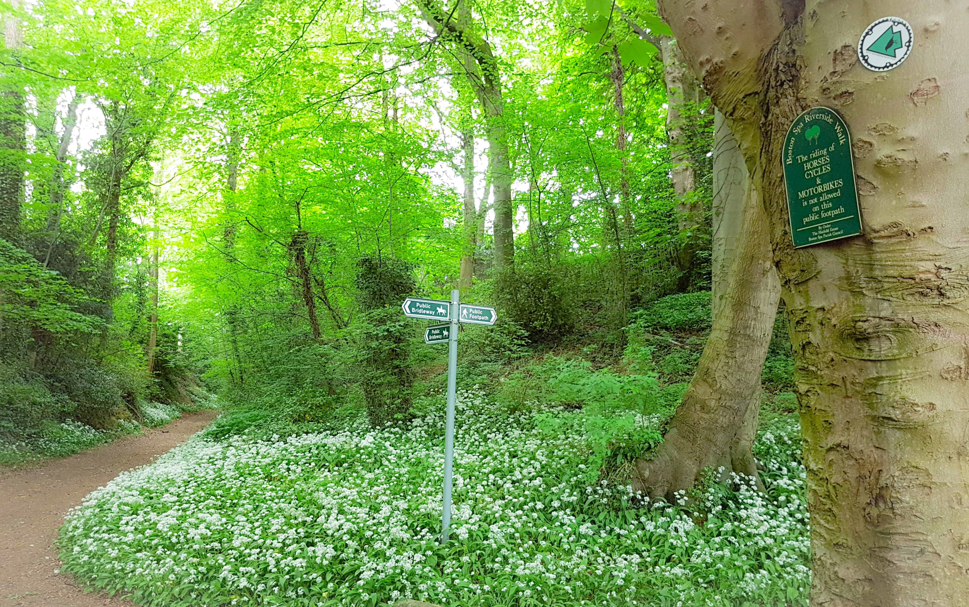 20180512_132902_edited_edited