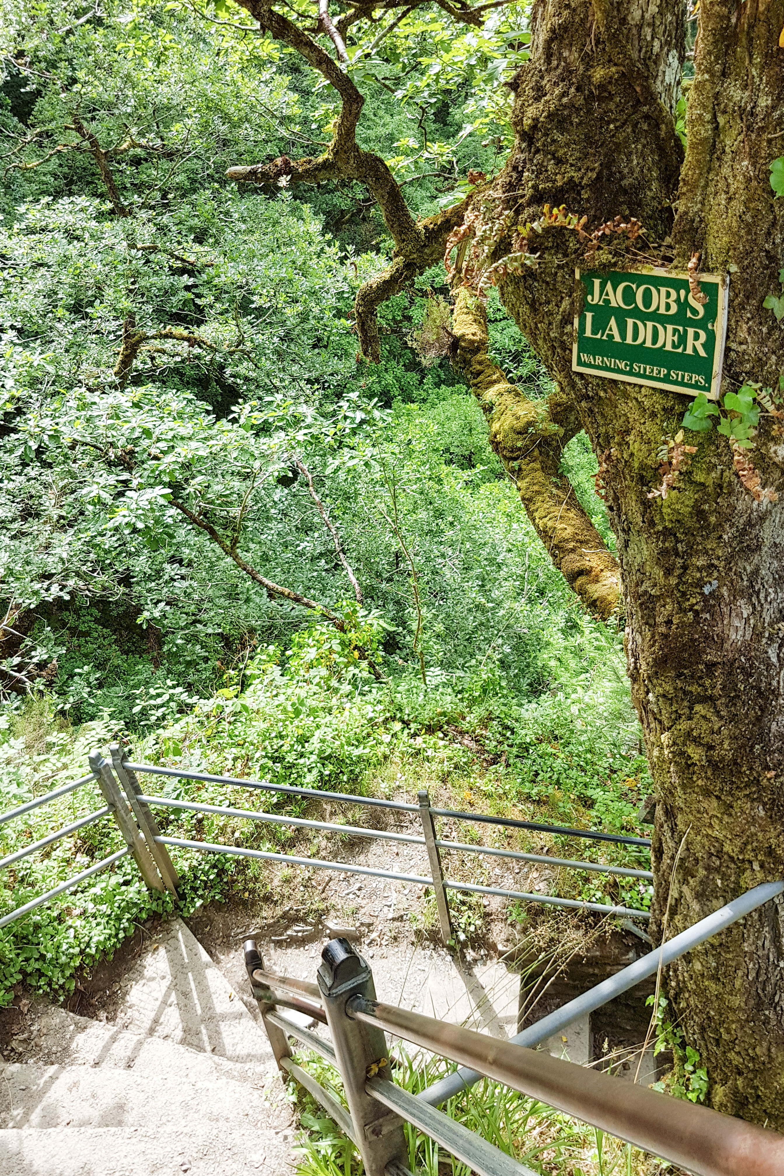 Jacab ladder.jpg
