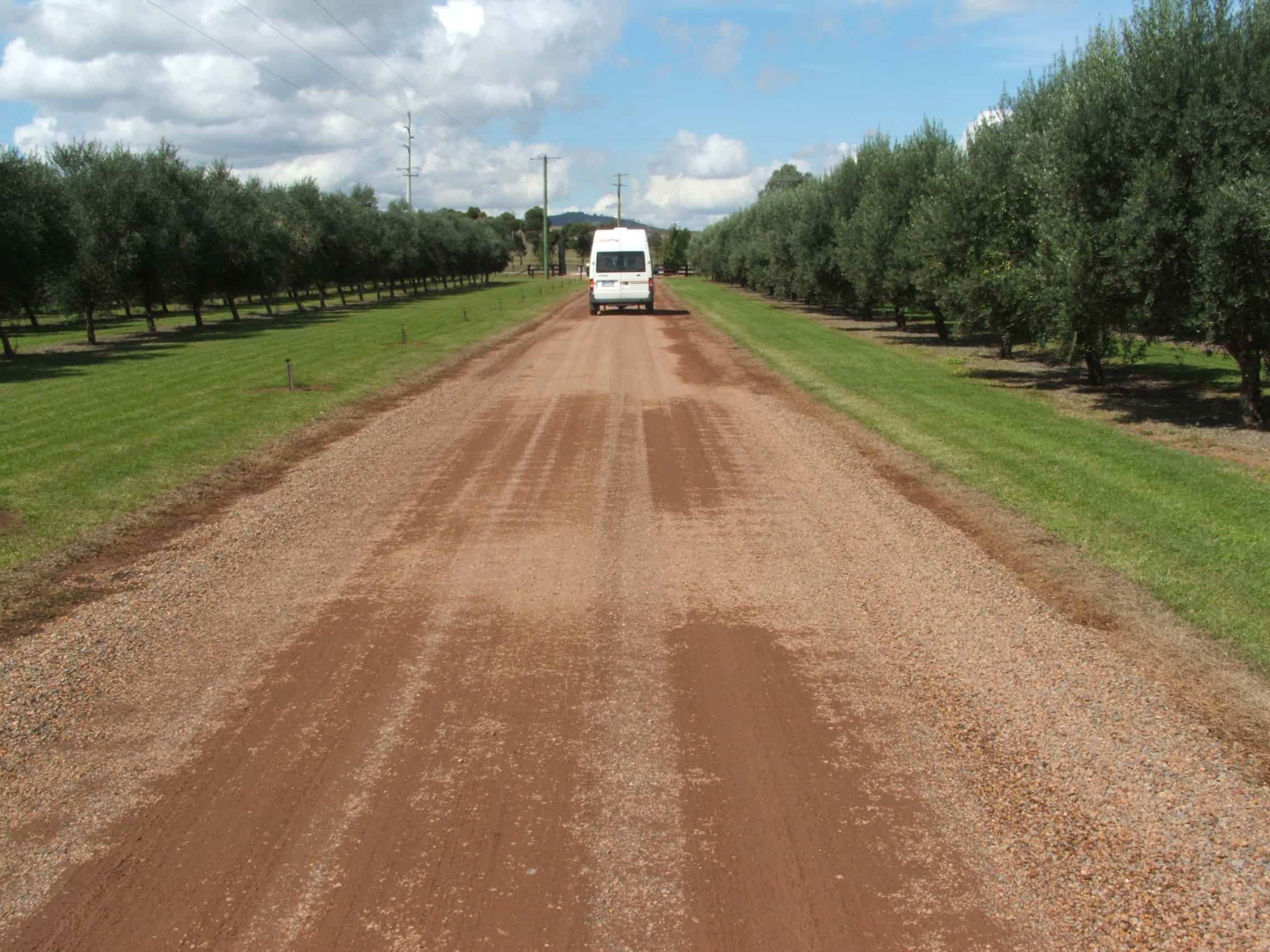 Visiting Olive Groves in Victoria.jpg