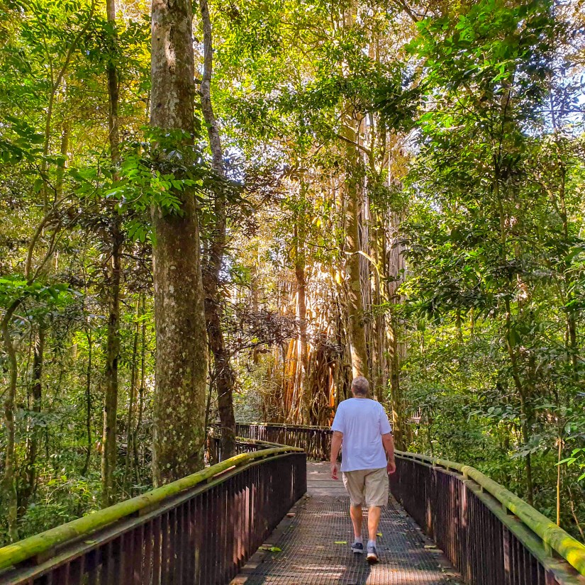 Les walking toward Fig Tree