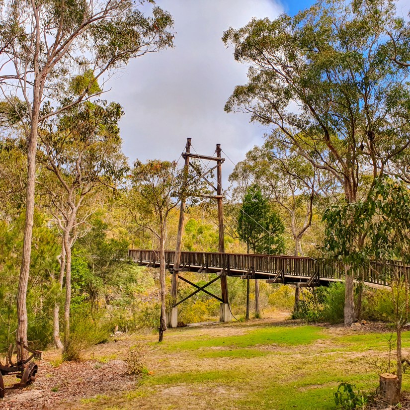 The suspension bridge.jpg