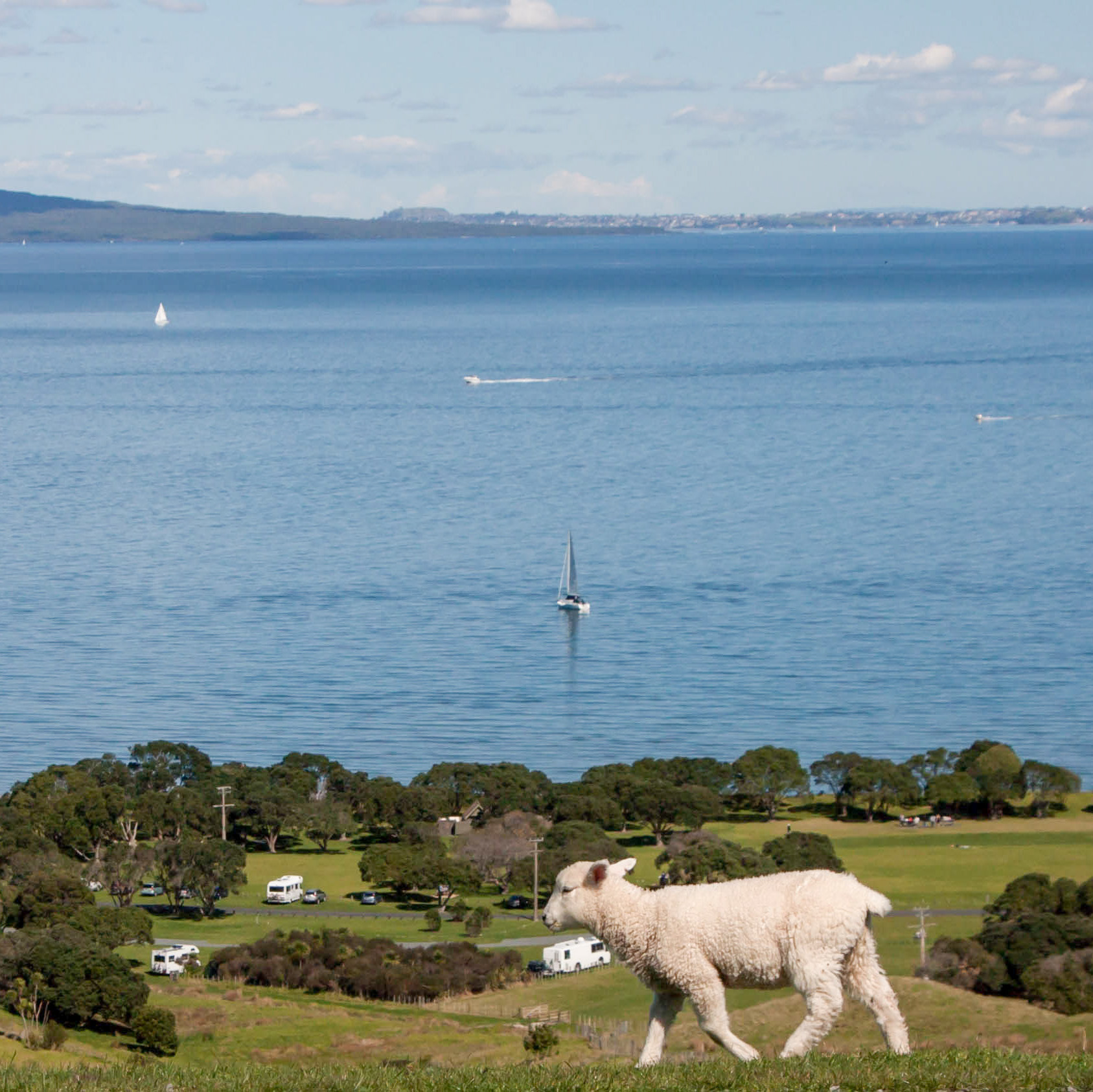 Shakesphere Regional Park - top of hill - lamb-small